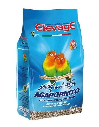 Elevage - Agapornito Mix per...
